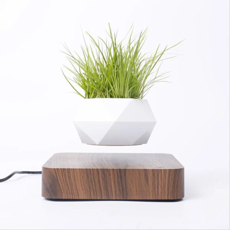 Hot Sale Levitating Air Bonsai Pot Rotation Planters Magnetic Levitation Suspension Flower Floating Pot Potted Plant Desk Decor - Serenity Spaces