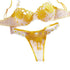 Sweet Lace Lingerie Push Up Bra - Serenity Spaces