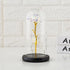 Preserved flower glass cover rose flower glass cover gift gifts - Serenity Spaces