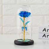 Preserved flower glass cover rose flower glass cover gift gifts - Serenity Spaces