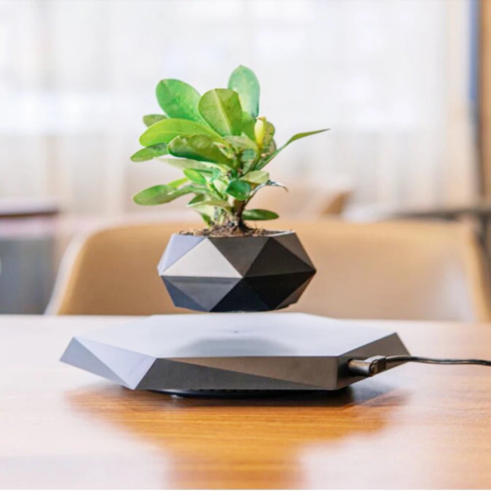 Hot Sale Levitating Air Bonsai Pot Rotation Planters Magnetic Levitation Suspension Flower Floating Pot Potted Plant Desk Decor - Serenity Spaces