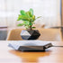 Hot Sale Levitating Air Bonsai Pot Rotation Planters Magnetic Levitation Suspension Flower Floating Pot Potted Plant Desk Decor - Serenity Spaces