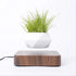 Hot Sale Levitating Air Bonsai Pot Rotation Planters Magnetic Levitation Suspension Flower Floating Pot Potted Plant Desk Decor - Serenity Spaces