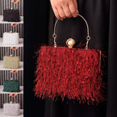 Tassel Handbags Women Dress Party Evening Bag Fashion Luxury Designer Square Bags Crossbody Shoulder Bag Ladies - Serenity Spaces