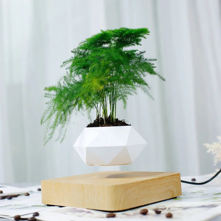 Hot Sale Levitating Air Bonsai Pot Rotation Planters Magnetic Levitation Suspension Flower Floating Pot Potted Plant Desk Decor - Serenity Spaces
