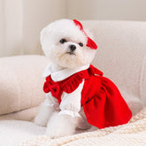 Puppy New Year Pet New Year Clothing - Serenity Spaces
