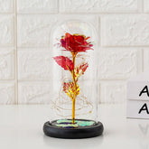 Preserved flower glass cover rose flower glass cover gift gifts - Serenity Spaces
