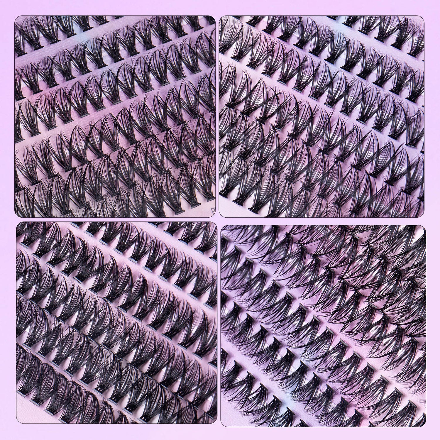 12 Rows Of 30D Plus 40D Clusters Of 240 Segmented Lashes Set - Serenity Spaces
