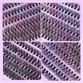 12 Rows Of 30D Plus 40D Clusters Of 240 Segmented Lashes Set - Serenity Spaces