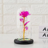 Preserved flower glass cover rose flower glass cover gift gifts - Serenity Spaces