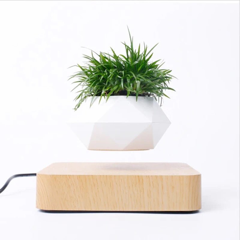 Hot Sale Levitating Air Bonsai Pot Rotation Planters Magnetic Levitation Suspension Flower Floating Pot Potted Plant Desk Decor - Serenity Spaces