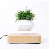 Hot Sale Levitating Air Bonsai Pot Rotation Planters Magnetic Levitation Suspension Flower Floating Pot Potted Plant Desk Decor - Serenity Spaces