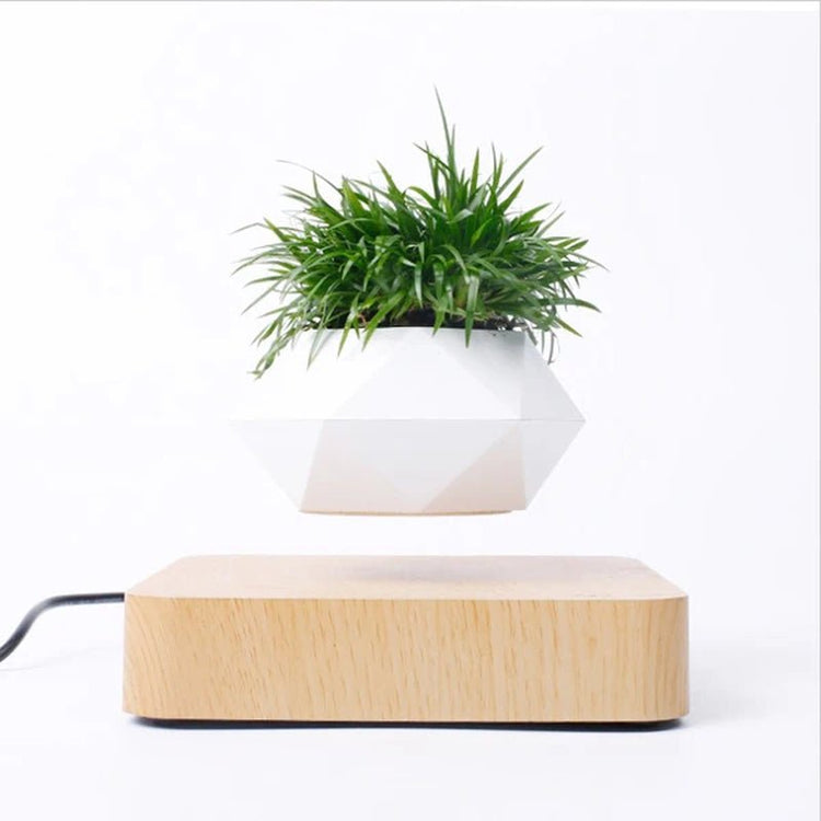 Hot Sale Levitating Air Bonsai Pot Rotation Planters Magnetic Levitation Suspension Flower Floating Pot Potted Plant Desk Decor - Serenity Spaces