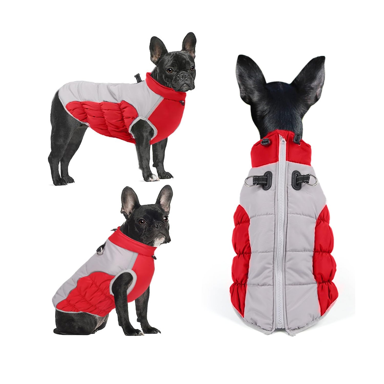 Dog Cold Weather Coats - Cozy Waterproof Windproof Reversible Winter Dog Jacket, Thick Padded Warm Coat - Serenity Spaces