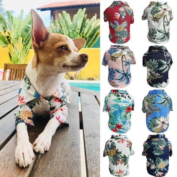 Dog Spring And Summer Thin Shirt Corgi Blue Cat Clothes - Serenity Spaces