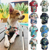 Dog Spring And Summer Thin Shirt Corgi Blue Cat Clothes - Serenity Spaces