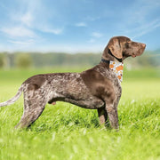 Thanksgiving Day Pet Triangle Scarf for Small Medium Large Dogs Cats Pets Pumpkin Leaf Fall Autumn Thanksgiving Dog Bandana Dog Accessories Collar