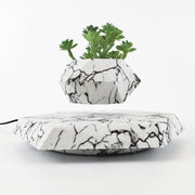 Floating Plant Pot Planter Suspension Air Bonsai Pot Flower Pot Levitating Plant