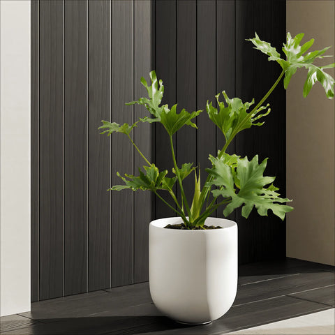 10" Ceramic Plant Pots, Indoor Planter with Drainage Hole & Plug, Ceramic Planter for Outdoor Decorative, White Planter