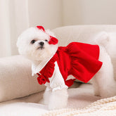 Puppy New Year Pet New Year Clothing - Serenity Spaces