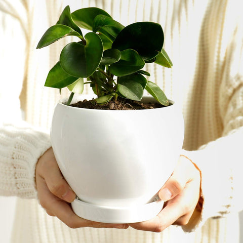 050601 Ceramic Plant Pot Planter - 4.8 Inch White Planters for Indoor Plants Flower Succulent with Drainage Hole Saucer