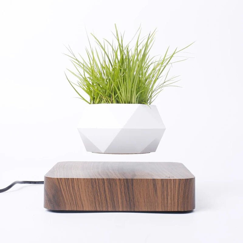 Hot Sale Levitating Air Bonsai Pot Rotation Planters Magnetic Levitation Suspension Flower Floating Pot Potted Plant Desk Decor - Serenity Spaces