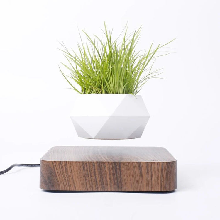 Hot Sale Levitating Air Bonsai Pot Rotation Planters Magnetic Levitation Suspension Flower Floating Pot Potted Plant Desk Decor - Serenity Spaces