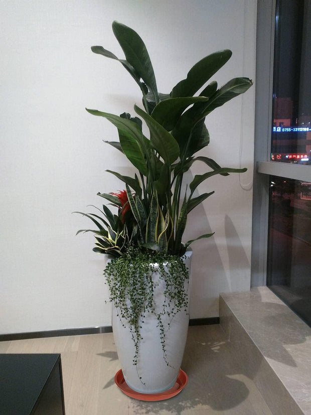 Plant Saucer 18 Inch (16.5 Inch Base), Pack of 6, Large Plastic Flower Plant Saucers Round, Planter Trays for Pots, Plant Tray for Planters 17-18", Plant Saucers 18 Inch (Terracotta Color)